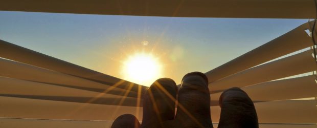 Sezon komarów i upałów. Może rolety albo moskitiery